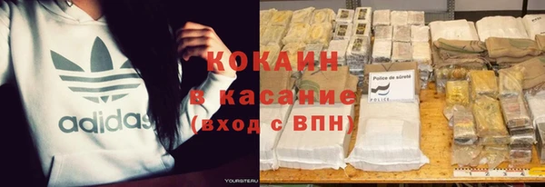 стаф Богданович