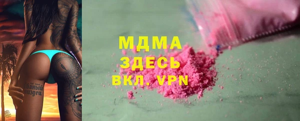 стаф Богданович
