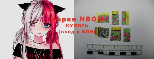 стаф Богданович