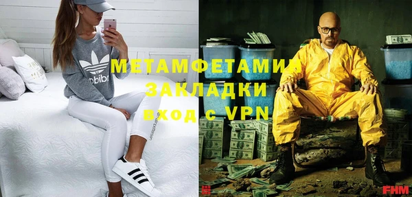стаф Богданович