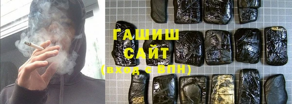 стаф Богданович