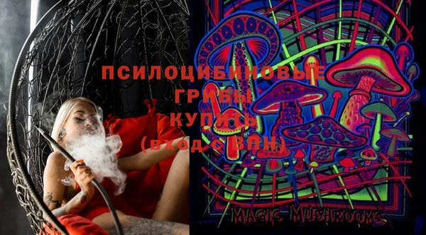 бошки Нязепетровск