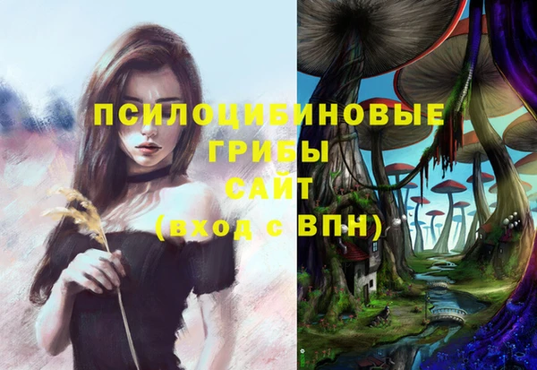 ECSTASY Снежинск